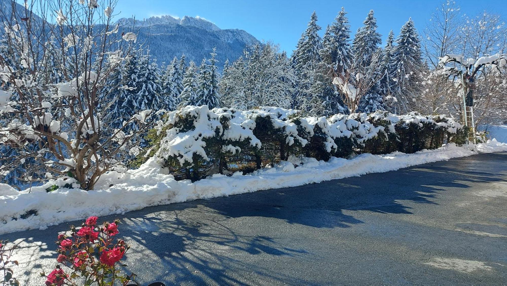 Ferienhaus Waldhof Hermagor-Pressegger See Exteriör bild